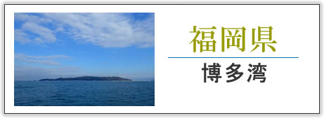 福岡県・博多湾