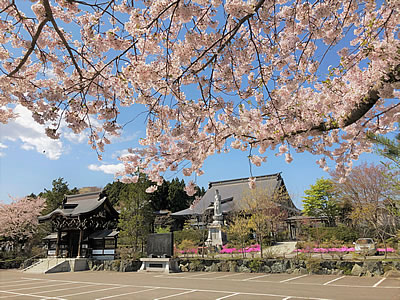 観音寺（青森）の五輪永代供養（個人墓）