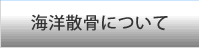 海洋散骨について