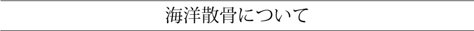 海洋散骨について